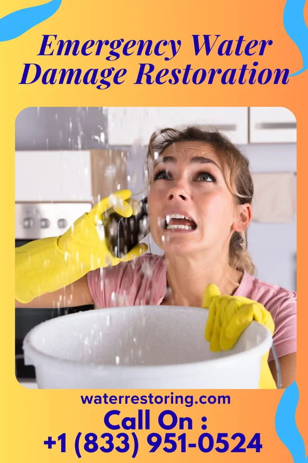 Emergency Water Damage Restoration in Elgin, IL