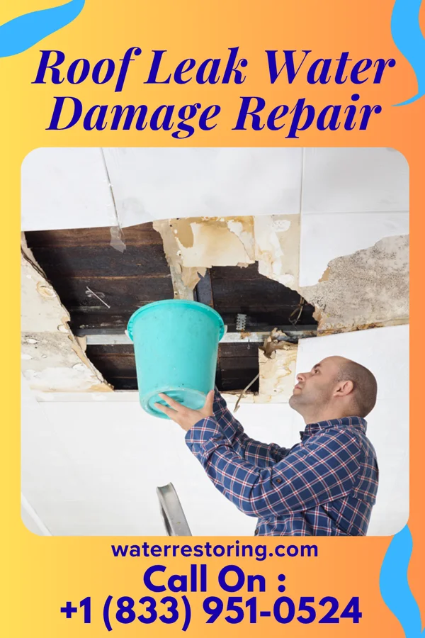 Roof Leak Water Damage Repair in Elgin, IL