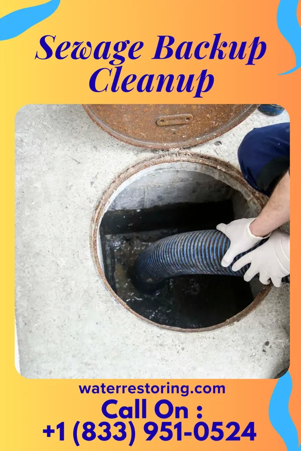 Sewage Backup Cleanup in Elgin, IL